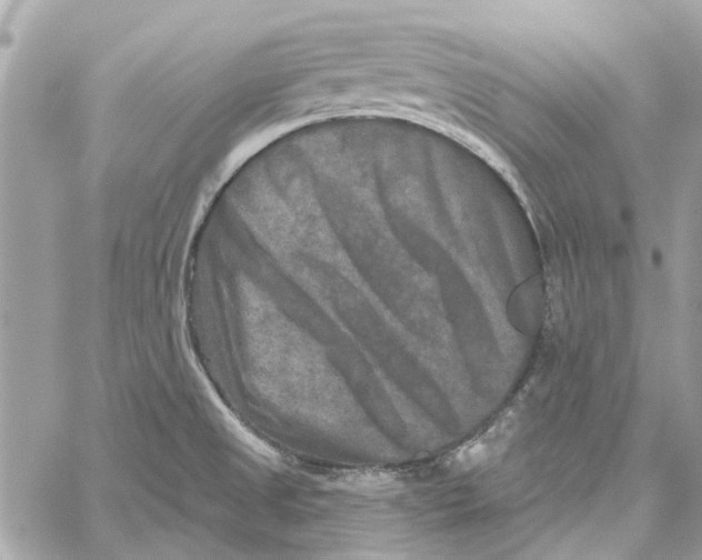 X0000059841525200511181500