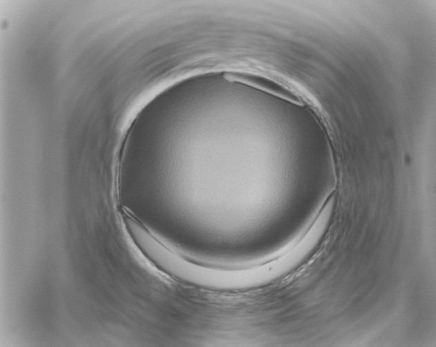 X0000059841528200511181500