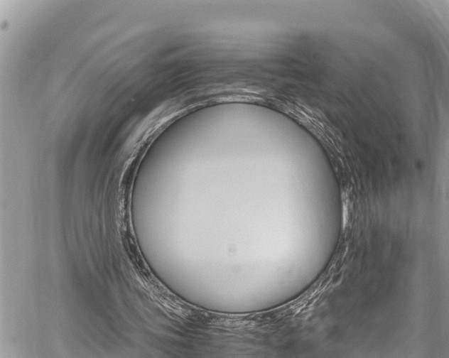 X0000059850339200510211028