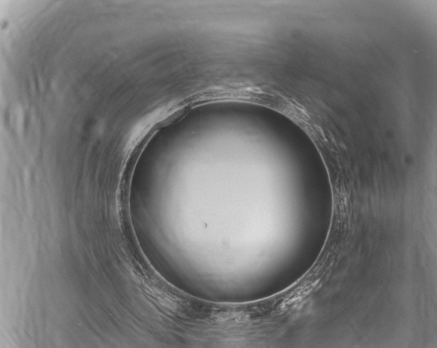 X0000059850340200510211028