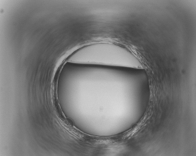 X0000059850342200510211028