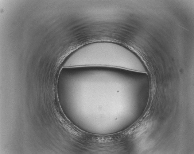 X0000059850345200510211028