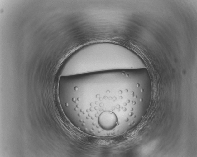 X0000059850346200510211028