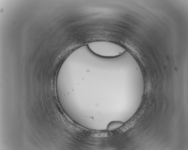 X0000059850353200510211028