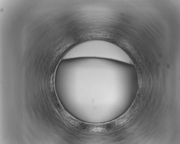 X0000059850360200510211028