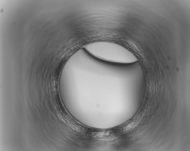 X0000059850366200510211028