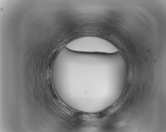 X0000059850367200510211028