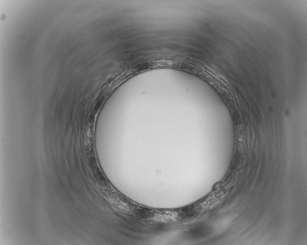 X0000059850369200510211028