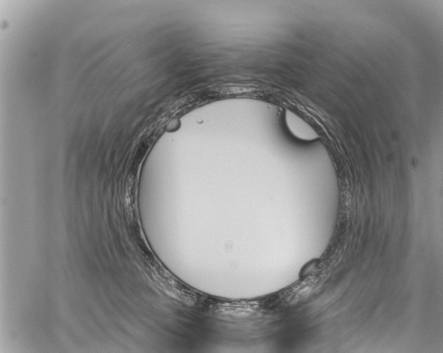 X0000059850373200510211028