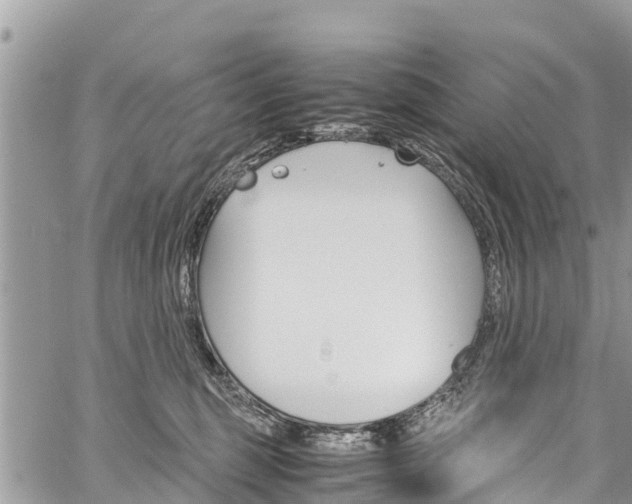 X0000059850375200510211028