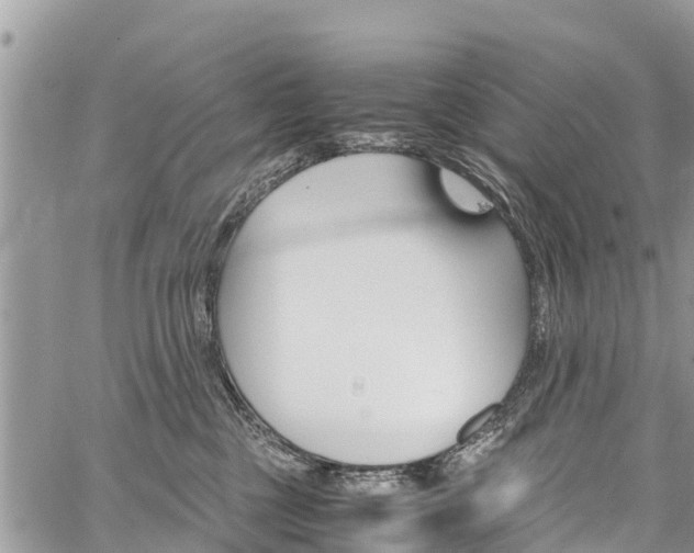 X0000059850377200510211028