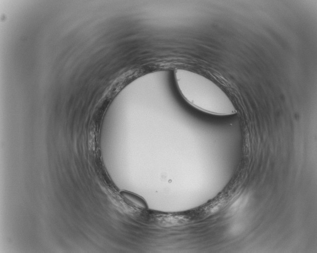 X0000059850379200510211028