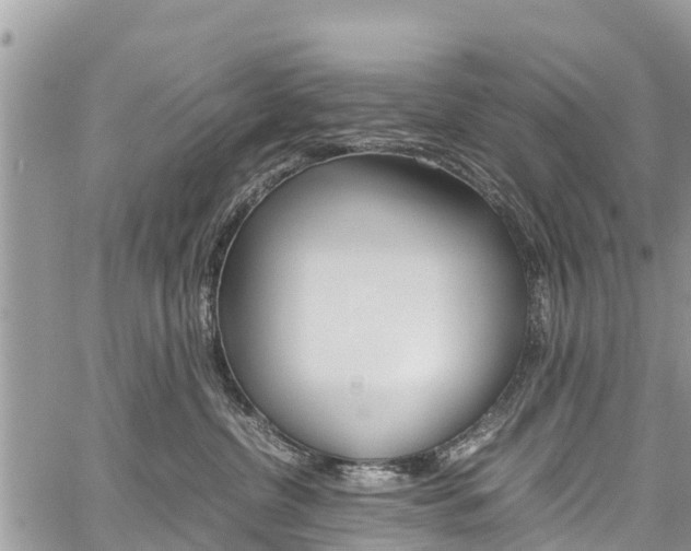 X0000059850380200510211028