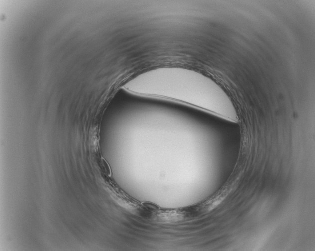 X0000059850383200510211028