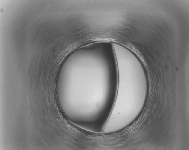 X0000059850385200510211028