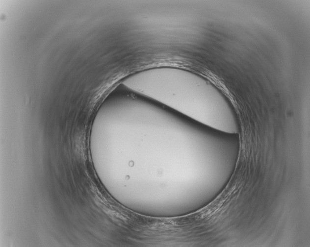 X0000059850386200510211028