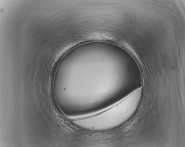 X0000059850387200510211028