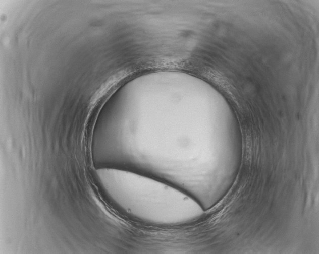 X0000059850674200510211023