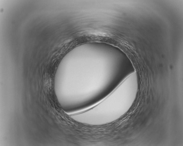 X0000059851061200510211016
