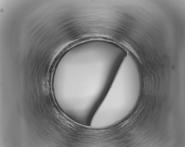 X0000059851068200510211016