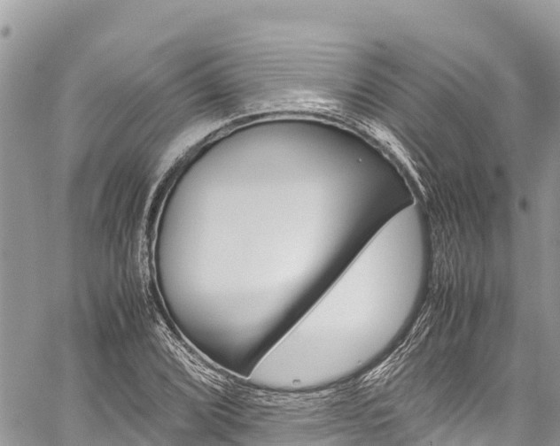 X0000059851072200510211016