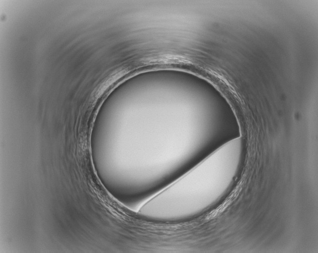 X0000059851073200510211016