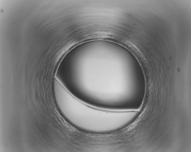 X0000059851081200510211016