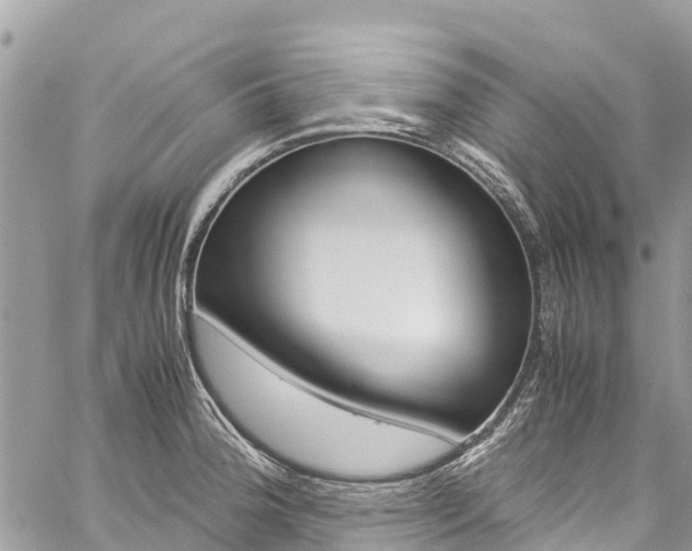 X0000059851188200510211014