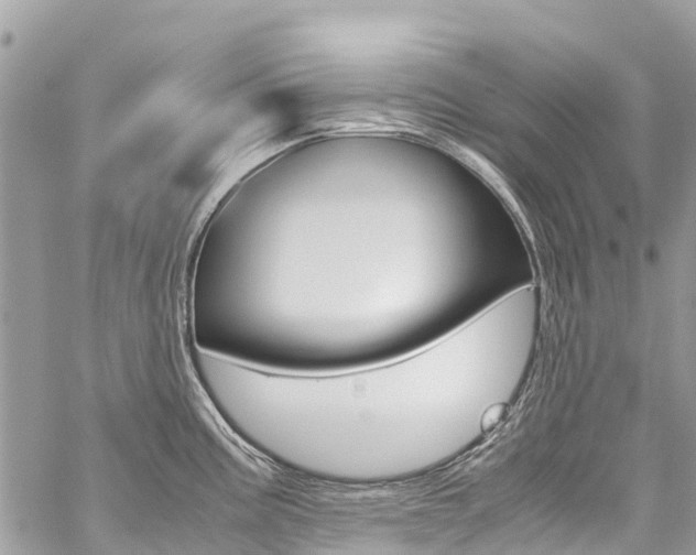 X0000059851195200510211014