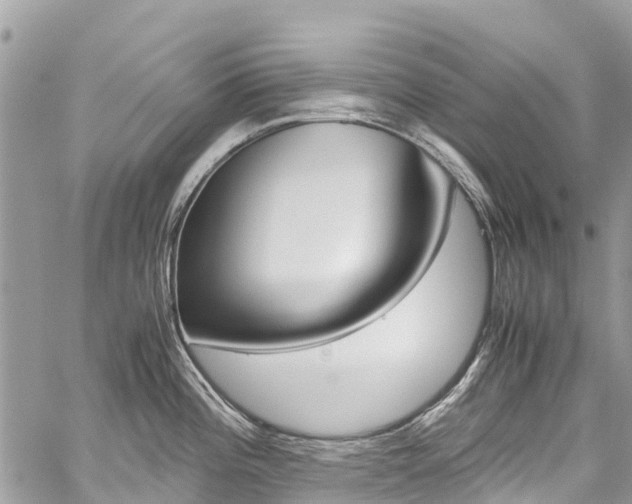 X0000059851196200510211014