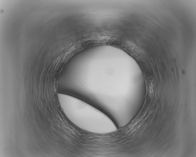 X0000059851204200510211013