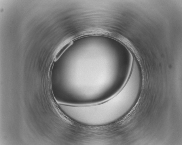 X0000059851242200510211014
