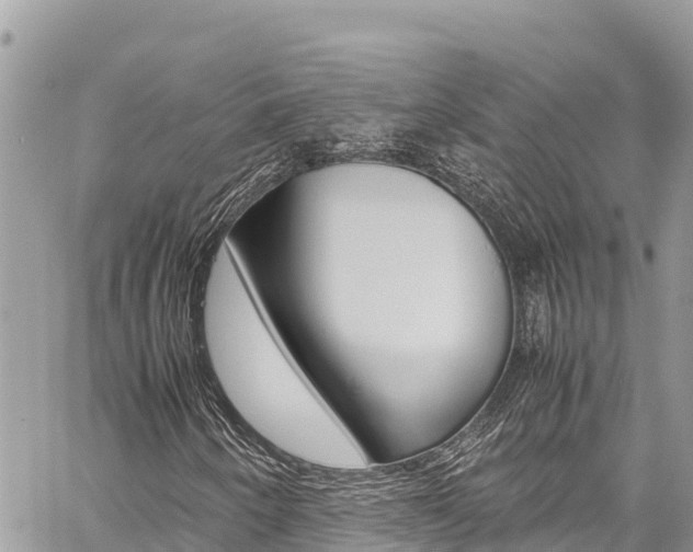X0000059851250200510211013