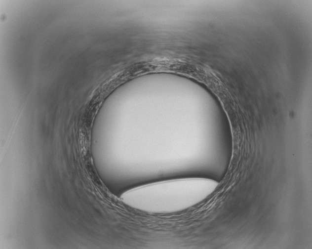 X0000059851253200510211013