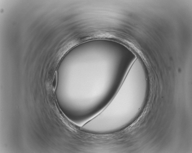 X0000059851281200510211013