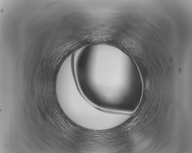 X0000059851300200510211012