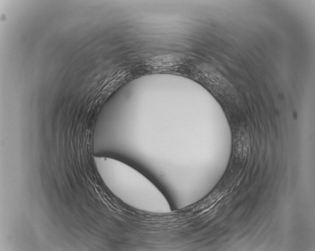X0000059851346200510211012