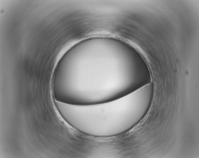 X0000059851440200510211011