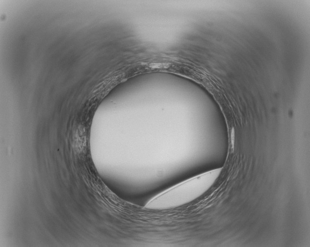 X0000059851443200510211010