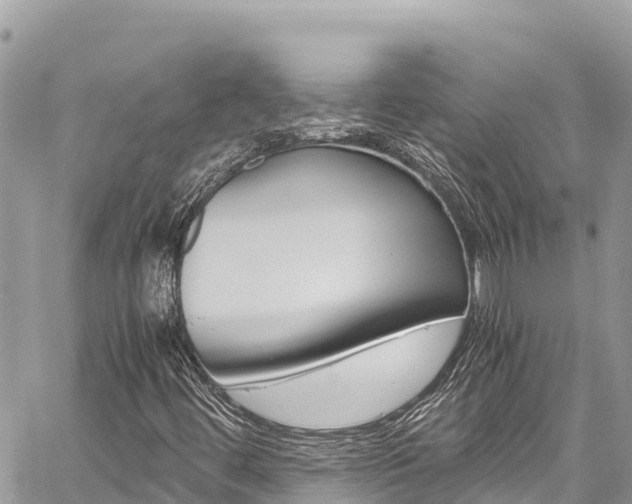 X0000059851444200510211010