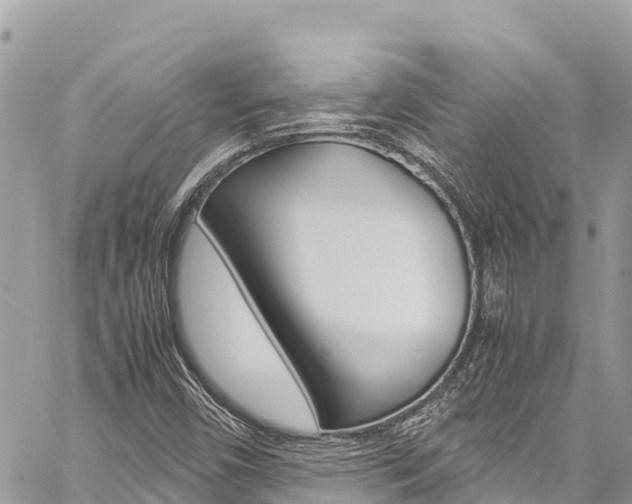 X0000059851450200510211010