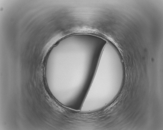 X0000059851463200510211010