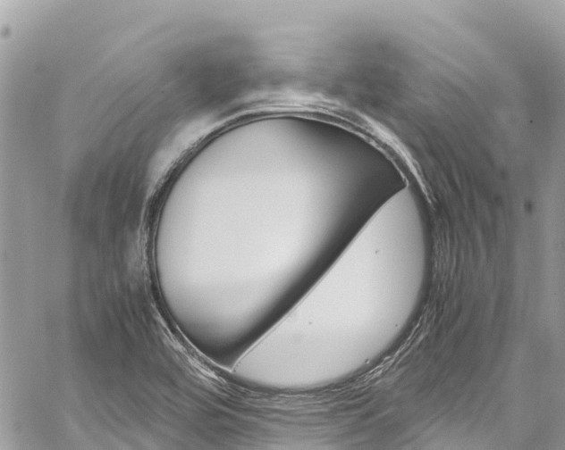 X0000059851464200510211010