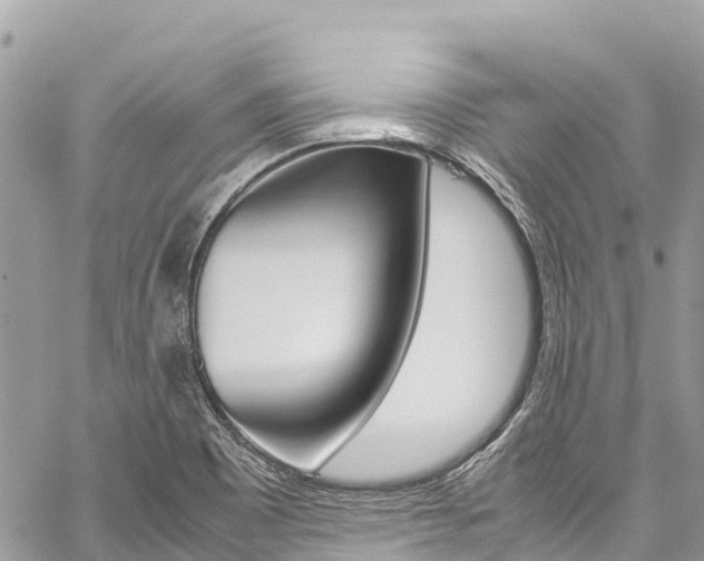 X0000059851465200510211010