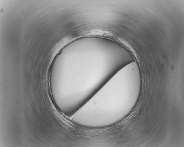 X0000059851475200510211010