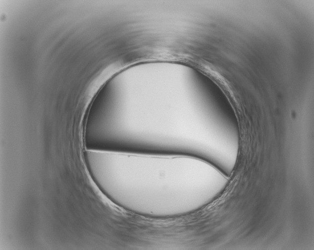 X0000059851479200510211010