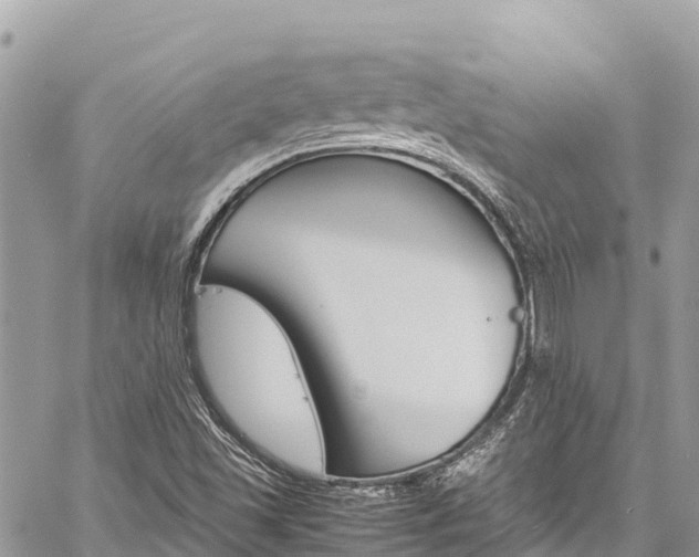 X0000059851501200510211009