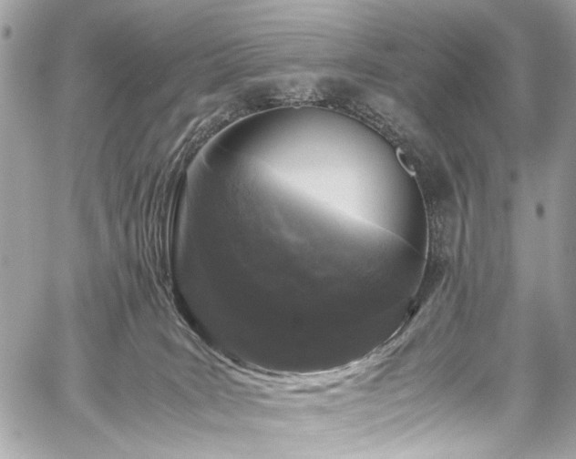 X0000059850035200510211224
