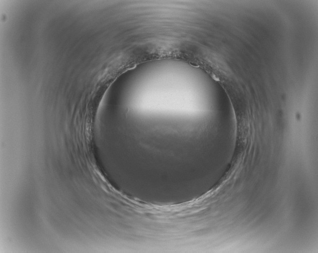 X0000059850039200510211224