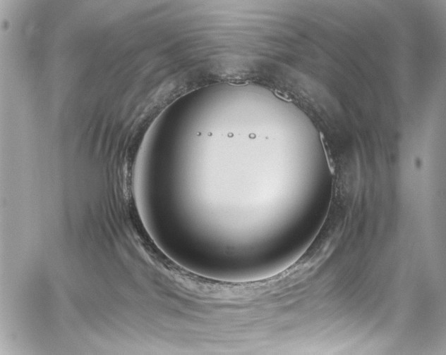X0000059850044200510211224